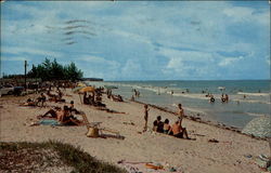 Lions Club Park Beach Fort Pierce, FL Postcard Postcard