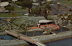 Vacation Village Hotel San Diego, CA Postcard Postcard