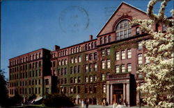 Harvard University Museum Cambridge, MA Postcard Postcard