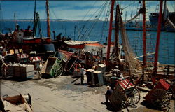 Fish Pier Boston, MA Postcard Postcard