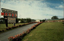 Cloverleaf Motel Harrisburg, PA Postcard Postcard