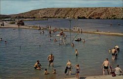 Swimming Pool Postcard