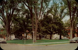 Historic tree-shaded Dover Green Postcard