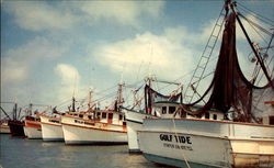 Shrimp Boats Corpus Christi, TX Postcard Postcard