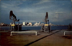 Pumping Oil Wells Long Beach, CA Postcard Postcard