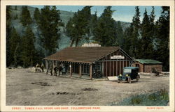 Tower Fall Store and Shop, Yellowstone Park Yellowstone National Park Postcard Postcard