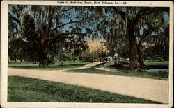 Oaks in Audubon park, New Orleans, La Postcard