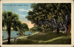 View in Eola Park Orlando, FL Postcard Postcard