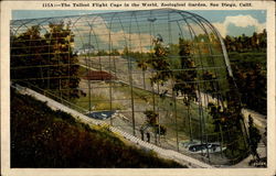 The Tallest Flight Cage in the World, Zoological Garden San Diego, CA Postcard Postcard