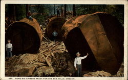 Some big timbers ready for the saw mills Postcard