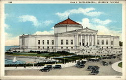 John G. Shedd Memorial Aquarium Postcard