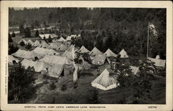 Hospital Tents, Camp Lewis Postcard