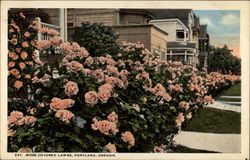 Rose Covered Lawns Postcard