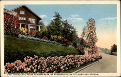 A Beautiful hedge of roses near the approach to the city Portland, OR Postcard Postcard