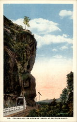 Columbia River Highway Tunnel at Oneonta Bluff Postcard