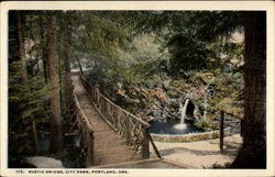 Rustic Bridge, City Park Postcard