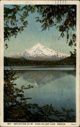 Refection of Mt. Hood in Lost Lake, Oregon Postcard Postcard