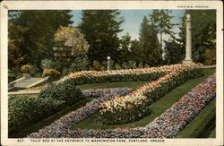 Tulip bed at the entrance to Washington Park Postcard