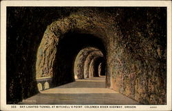 Day-Lighted Tunney at Mitchell's Point Postcard