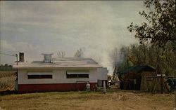 Sorhum Molasses Making Time Selmer, TN Postcard Postcard