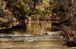 A Mountain Stream Postcard