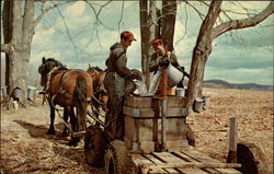 Sugaring in Vermont Postcard