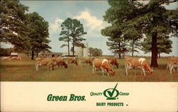 Green Bros. Guernsey Farm Bastrop, LA Postcard Postcard