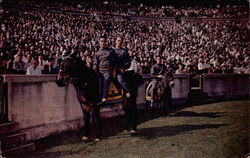 Army Mascot at Football Games Postcard