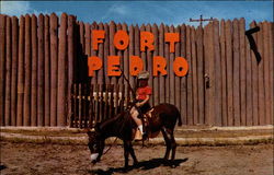 Fort Pedro Postcard