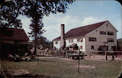 Timberlane Guest Ranch East Jewett, NY Postcard Postcard