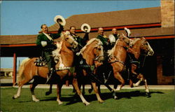 Long Beach Mounted Police Postcard