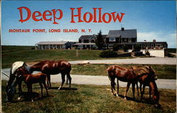 Deep Hollow, Long Island Montauk, NY Postcard Postcard