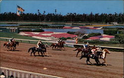 Hollywood Park Postcard