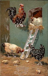 Cozy Henhouse Scene With Chicks Postcard Postcard