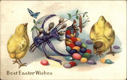 Two Chicks and Many Colorful Eggs With Chicks Postcard Postcard