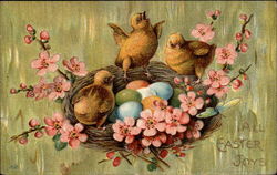 Chicks On A FLowery Nest With Chicks Postcard Postcard