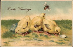 Three chicks and bee With Chicks Postcard Postcard