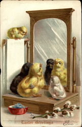 Four Chicks seeing the mirror Postcard