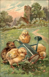 Chicks and Watering Can in Flowery Meadow With Chicks Postcard Postcard