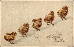 Five Little Chicks all in a Row With Chicks Postcard Postcard