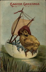 Sailing Chick With Chicks Postcard Postcard