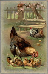 A Mother Hen and her Chicks With Chicks Postcard Postcard