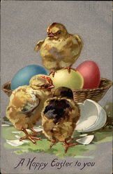 Newly hatched chicks and colored eggs Postcard