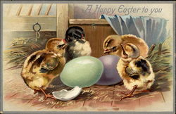 Chicks and Eggs With Chicks Postcard Postcard