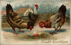 Two Hens Examine a Nestful of Colorful Eggs Postcard Postcard