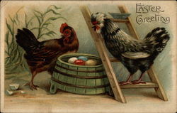 Chickens and some Eggs Postcard