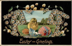 Sweet Little Chick with his eggs Postcard