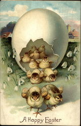 Chicks Marching Out Of A Large Egg In Pairs Postcard