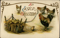 Chicks and Chickens With Chicks Postcard Postcard