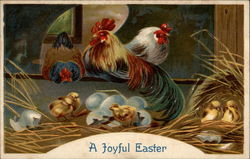 Cozy Henhouse Scene With Chicks Postcard Postcard